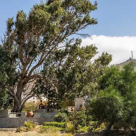 Villa Peratsi Stone Naxos City